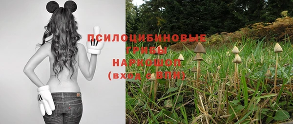 2c-b Медвежьегорск