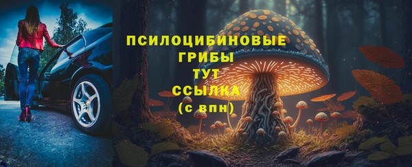 крисы Абинск