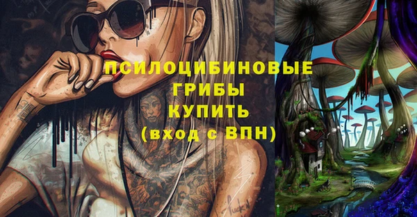 прущие крисы Абаза